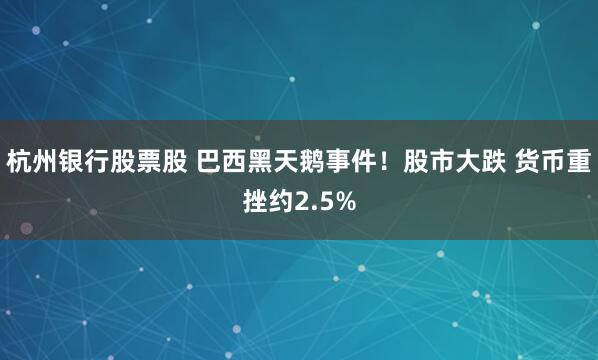 杭州银行股票股 巴西黑天鹅事件！股市大跌 货币重挫约2.5%