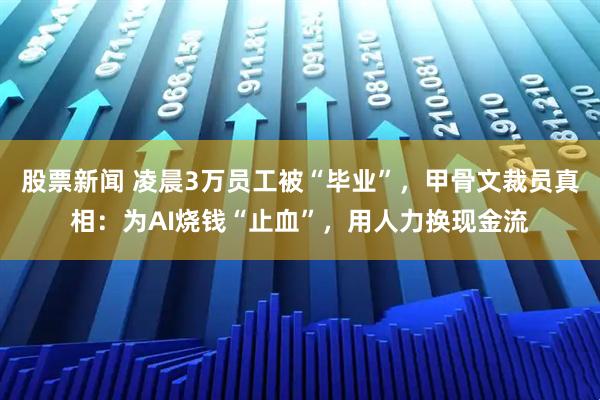 股票新闻 凌晨3万员工被“毕业”，甲骨文裁员真相：为AI烧钱“止血”，用人力换现金流